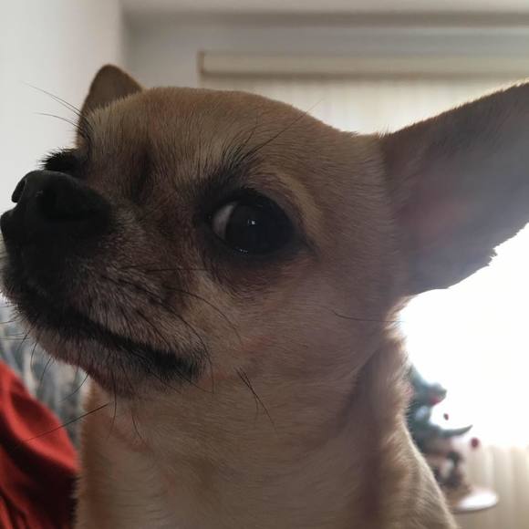 Meet your Posher, Adri - Picture 1 of 1